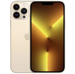 iPhone 13 Pro Max 256GB