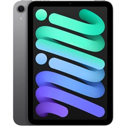 iPad mini