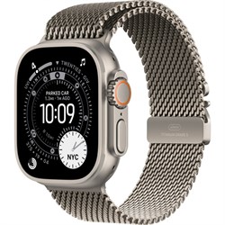 Milanese Loop