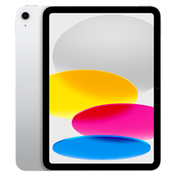 iPad 256GB Wi-Fi + Cellular Silver - фото 17130