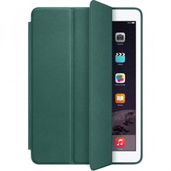 Чехол iPad 10.2 Зеленый - фото 19485