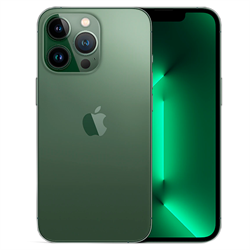 iPhone 13 Pro 128GB Alpine Green 101649524765 - фото 28333