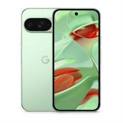Google Pixel 9 12/128GB Wintergreen (JP) qT-iPuPNjXyig0GxYmaLS2 - фото 28915