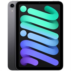 iPad Mini 6 (2021) Wi-Fi + Cellular 64GB Space Gray wnfwf6l1gVMJvzcZSxsBE3 - фото 35232