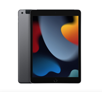 iPad 10.2 Wi-Fi + Cellular 256GB Space Gray 101598381733