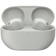 Беспроводные наушники Sony WF-1000XM5 Silver rorcKSwBhF8vZgvwy6HlY2
