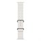 Apple Watch Ultra 2 49 мм Ocean Band White - фото 13528