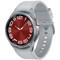 Смарт-часы Samsung Galaxy Watch 6 Classic 47mm Silver - фото 18340