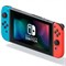 Nintendo Switch Oled Красный/Синий - фото 20465
