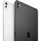 iPad Pro 13 2024 16/1TB Wi-Fi Space Gray 4c6aTGZcgudcm22tB9rff1 - фото 21997