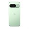 Google Pixel 9 12/128GB Wintergreen BbRYiK55jcCso0fgp4IgP0 - фото 22688