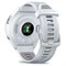 Смарт-часы Garmin Forerunner 965 White 0uaaWy18h2oHRxSE7vEbg3 - фото 23984