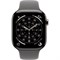 Apple Watch Series 11 42mm Natural Titanium Case with Stone Gray Sport Band (S/M) VDEX78FmhrBrofwtT5t533 - фото 34969