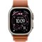 Apple Watch Ultra 3 2025 49mm Natural Titanium Case with Terra Cotta Alpine Loop (L) ebDMwinZhSUs1IT7ECHqr3 - фото 34977