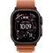 Apple Watch Ultra 3 2025 49mm Black Titanium Case with Terra Cotta Alpine Loop (L) HoMEYUvXgojYahmrmUDk92 - фото 34979