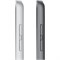 iPad 9 10.2 (2021) Wi-Fi + Cellular 256GB Silver QaI4j3EEgdnMrLGI3Dkq02 - фото 35081