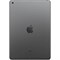 iPad 9 10.2 (2021) Wi-Fi 64GB Space Gray 101512247804 - фото 35088