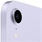 iPad Mini 6 (2021) Wi-Fi + Cellular 256GB Purple TLU4j3LdiX67HC1ExI3600 - фото 35325