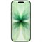 iPhone 17 512GB Sage (2 физ.сим) gDcogaFRjDN6M0KuzM7k01 - фото 38528